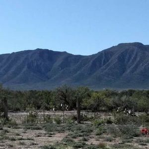 Meet your Posher, Francisco